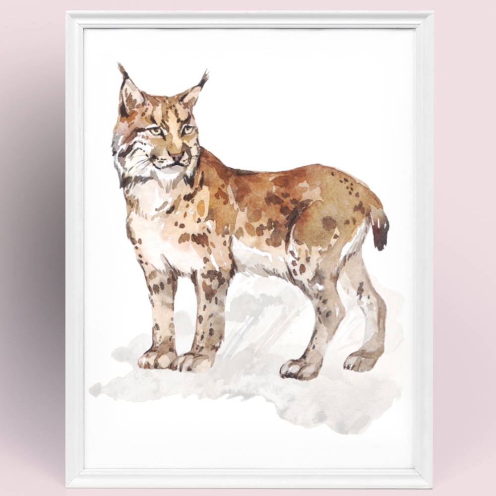 Wall Art Watercolor Lynx Bobcat Illustration Print Poster Unframed - Picture 7 of 17